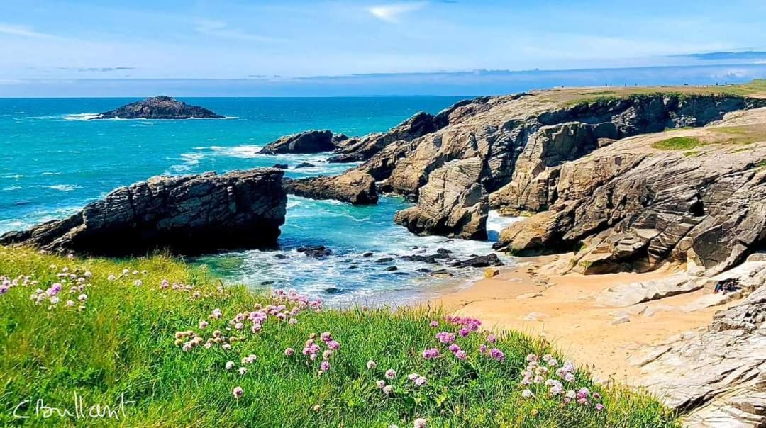Appartement Cocon A Quiberon Dans Residence Calme, Plages Et Centre Ville A Pied Ou A Velo Pour 2 A 4 Personnes מראה חיצוני תמונה