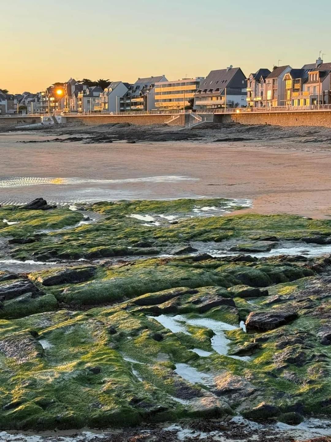 Appartement Cocon A Quiberon Dans Residence Calme, Plages Et Centre Ville A Pied Ou A Velo Pour 2 A 4 Personnes מראה חיצוני תמונה