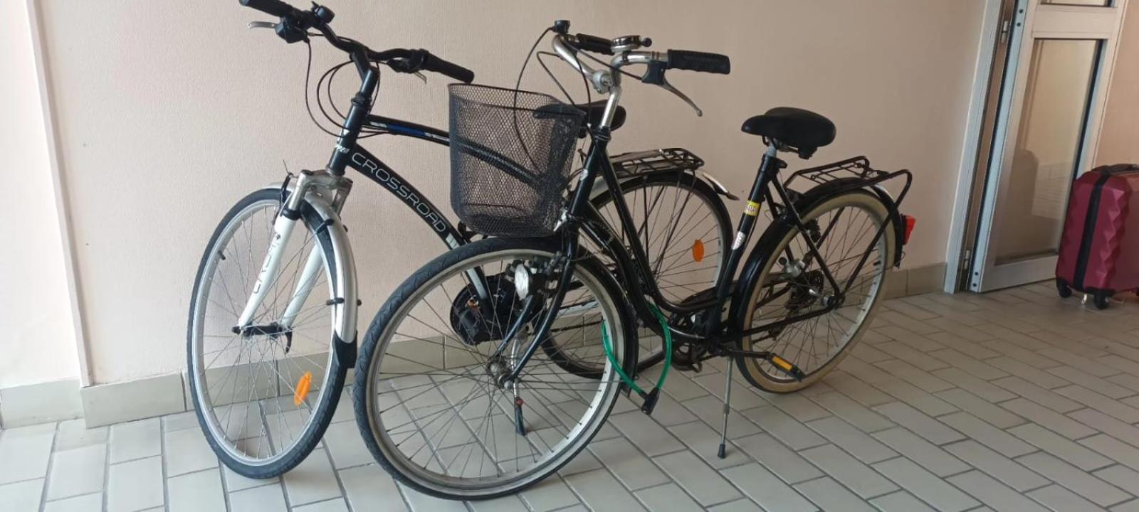 Appartement Cocon A Quiberon Dans Residence Calme, Plages Et Centre Ville A Pied Ou A Velo Pour 2 A 4 Personnes מראה חיצוני תמונה